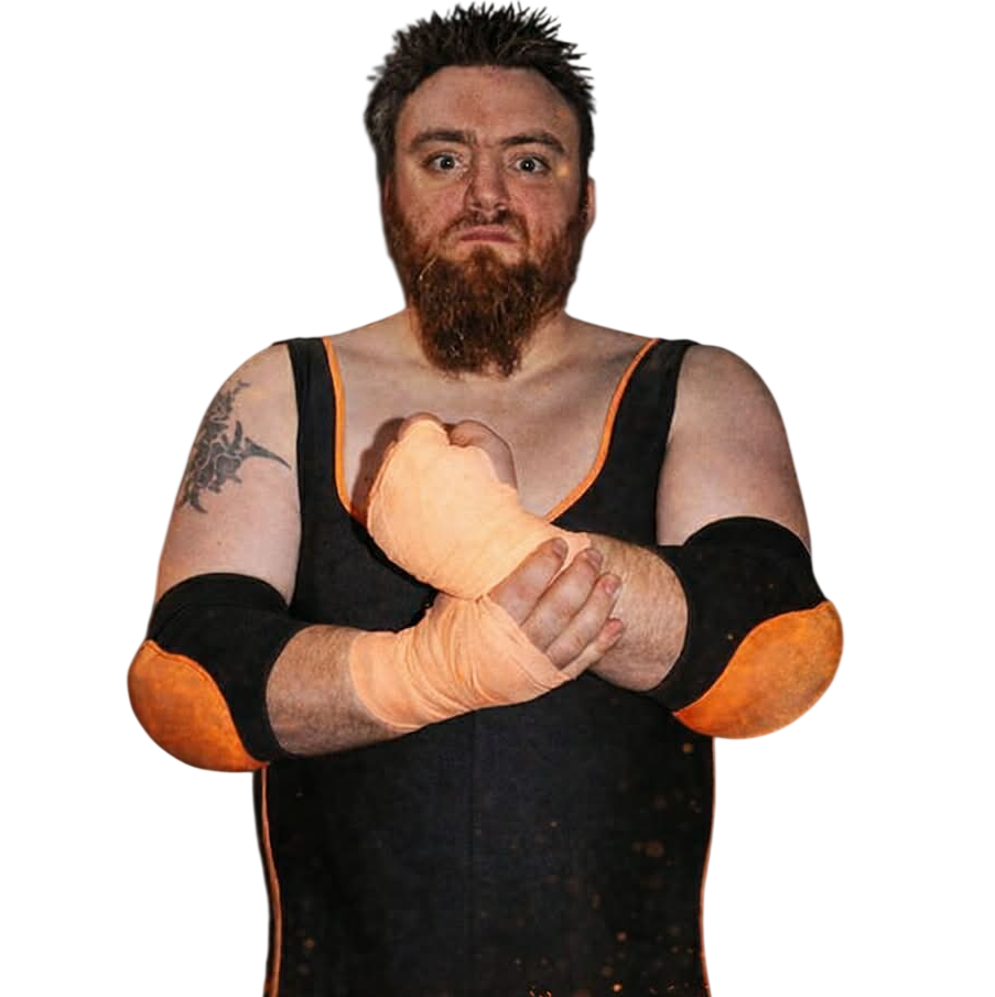 Palmer The Necessary Evil